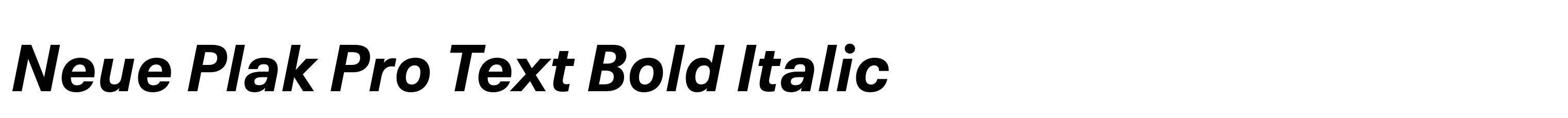 Neue Plak Pro Text Bold Italic